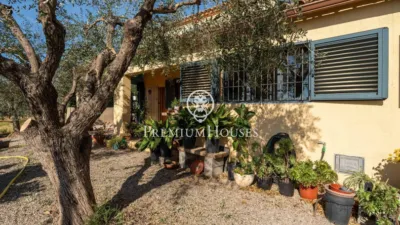 Rustic Finca in Centro photo 46