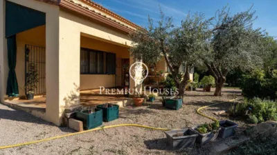 Rustic Finca in Centro photo 47
