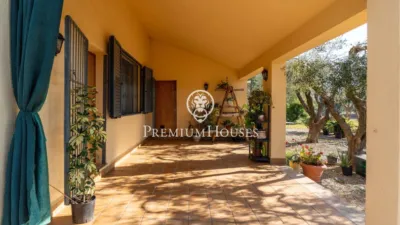 Rustic Finca in Centro photo 48