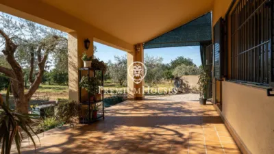 Rustic Finca in Centro photo 49