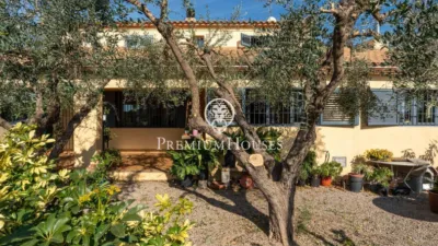 Rustic Finca in Centro photo 4