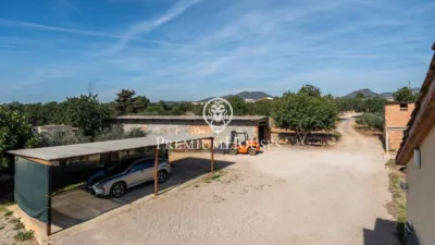 Rustic Finca in Centro photo 51