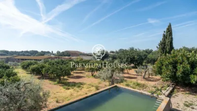 Rustic Finca in Centro photo 53