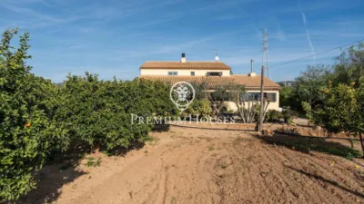 Rustic Finca in Centro photo 54
