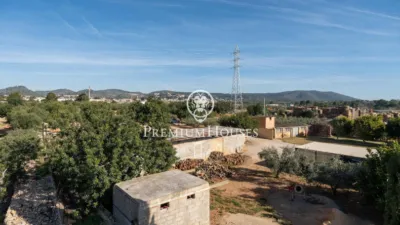 Rustic Finca in Centro photo 58