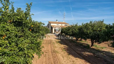 Rustic Finca in Centro photo 5