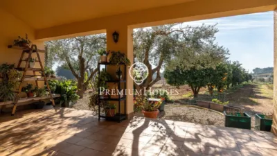 Rustic Finca in Centro photo 6