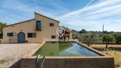 Rustic Finca in Centro photo 8
