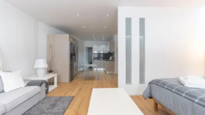 Duplex penthouse on Calle del Sol photo 23
