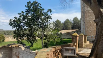 Rustic Finca in Vallpineda photo 28
