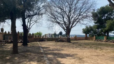 Rustic Finca in Vallpineda photo 36