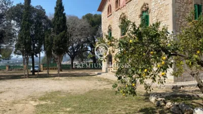Rustic Finca in Vallpineda photo 4