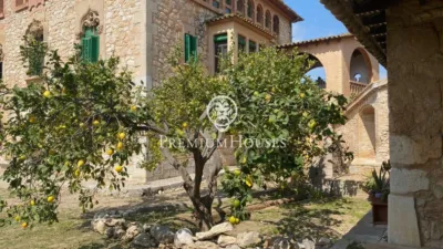 Rustic Finca in Vallpineda photo 9