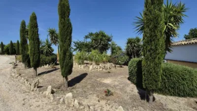 Rustic property on Carretera Arcos Gibalbin photo 4