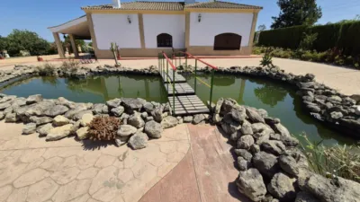 Rustic property on Carretera Arcos Gibalbin photo 70