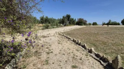 Rustic property on Carretera Arcos Gibalbin photo 76