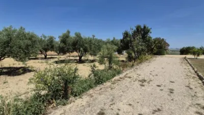 Rustic property on Carretera Arcos Gibalbin photo 85