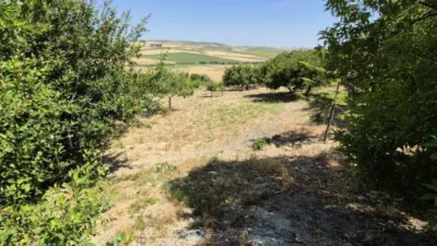Rustic property on Carretera Arcos Gibalbin photo 86