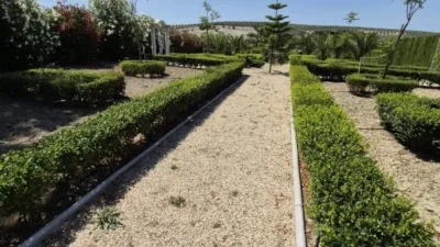 Rustic property on Carretera Arcos Gibalbin photo 87