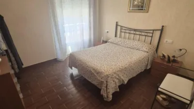 House in Junta de los Rios photo 14