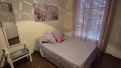 House in Junta de los Rios photo 9