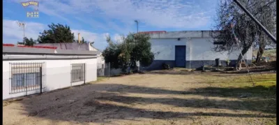 Rustic Finca in El Romeral photo 15