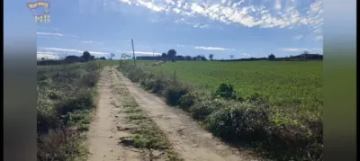 Rustic Finca in El Romeral photo 19