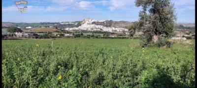 Rustic Finca in El Romeral photo 3