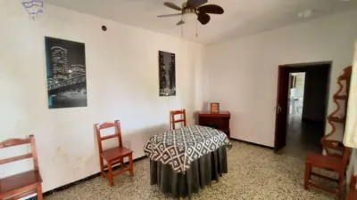 Rustic Finca in El Romeral photo 8