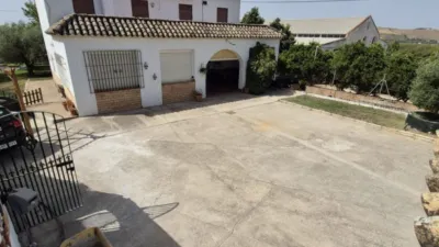 Rustic Finca in Andalucia photo 6