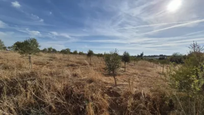 Rustic Farm for Sale in El Pavo photo 10