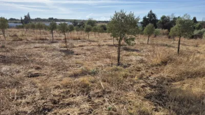 Rustic Farm for Sale in El Pavo photo 11