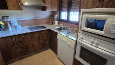 Rustic Farm for Sale in El Pavo photo 20
