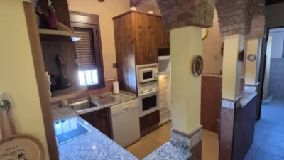 Rustic Farm for Sale in El Pavo photo 21