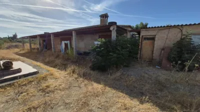 Rustic Farm for Sale in El Pavo photo 4