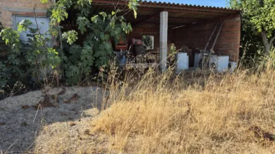Rustic Farm for Sale in El Pavo photo 6