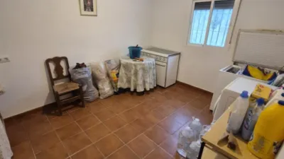 Rustic Farm for Sale in El Pavo photo 13