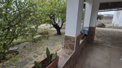 Rustic Farm for Sale in El Pavo photo 18