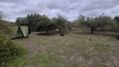Rustic Farm for Sale in El Pavo photo 19