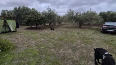 Rustic Farm for Sale in El Pavo photo 24