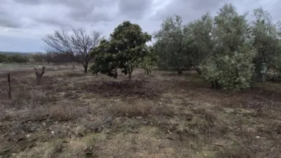 Rustic Farm for Sale in El Pavo photo 25