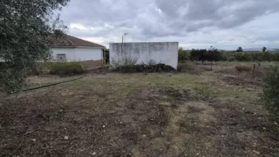 Rustic Farm for Sale in El Pavo photo 26