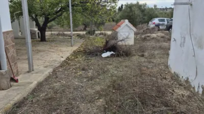 Rustic Farm for Sale in El Pavo photo 27