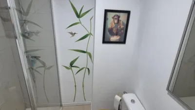 Apartment in El Santiscal photo 12