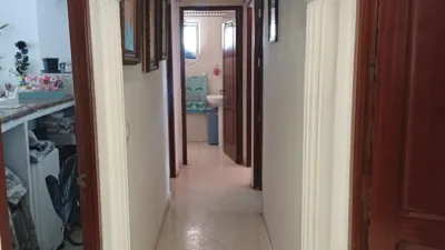Apartment in Barrio Bajo photo 6