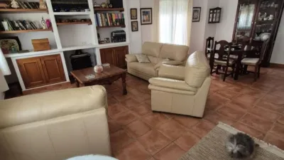 House in Portichuelo photo 11