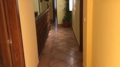 House in Portichuelo photo 42