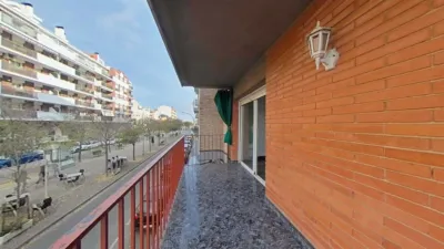 Apartment in Sant Pere Nord photo 28