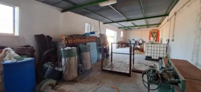 Rustic farm in Junta de los Rios photo 19