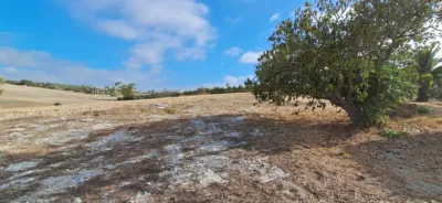 Rustic farm in Junta de los Rios photo 21